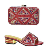 Anisha Shoe & Bag set