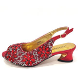 Ramona Shoes & Bag Set