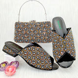 Nupur Shoe & Bag Set