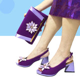 Sarita Shoe & Bag Set