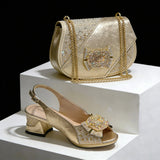Sarah Bag & Shoe Set