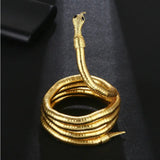 Trendy Snake Necklace