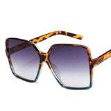 Zagary Oversized Sunglasses