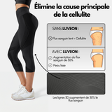 DICORYA — Legging 3/4