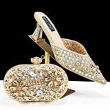 Zoya Bag & Shoe Set