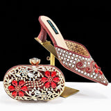 Zoya Bag & Shoe Set