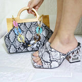 Manny Bag & Shoe Set