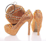 Crystal Shoes & Bag Set