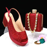 Gunjan Shoes & Bag Set