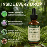 Lunava® Lymph Drainage Tropfen