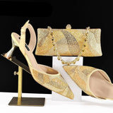 Disha Bag & Shoe Set