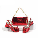 Bina Bag & Shoe Set