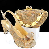 Nelly Bag & Shoe Set