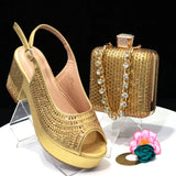 Gunjan Shoes & Bag Set