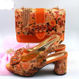 Renee Bag & Shoe Set