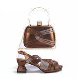 Anita Shoes & Bag Set