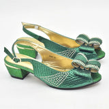 Zara Shoe & Bag Set