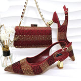 Sanya Shoes & Bag Set