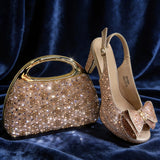 Cindrella Bag & Shoe Set