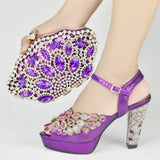 Noreen Shoe & Bag Set