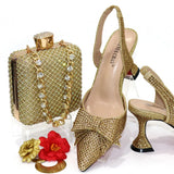 Ananya Shoes & Bag set