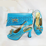 Anika Bag & Shoe Set