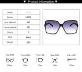 Zagary Oversized Sunglasses